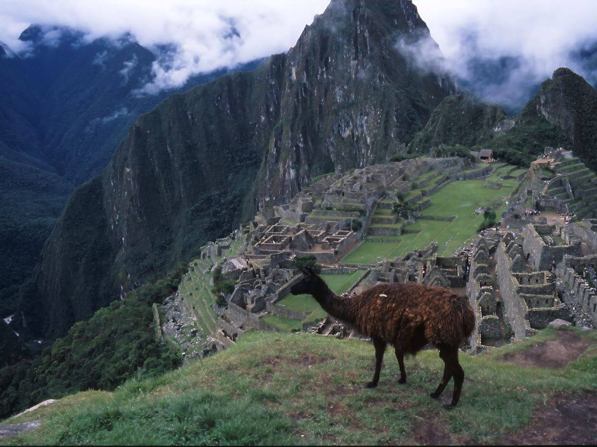 Camino Inca, Machu Picchu