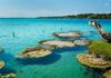 Explorando Bacalar: la laguna de los siete colores Bacalar laguna colores