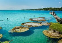 Explorando Bacalar: la laguna de los siete colores Bacalar laguna colores