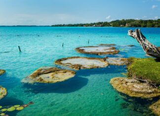 Explorando Bacalar: la laguna de los siete colores Bacalar laguna colores