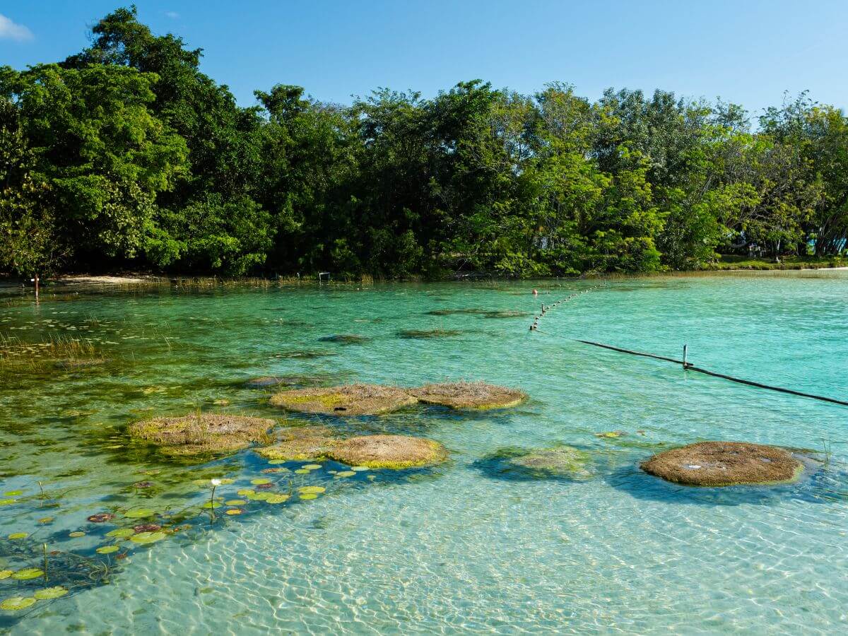 Bacalar