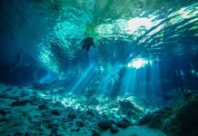 Los mejores destinos para buceo en México buceo México arrecifes