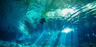 Los mejores destinos para buceo en México buceo México arrecifes