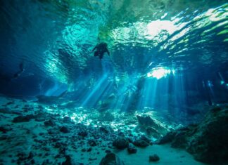Los mejores destinos para buceo en México buceo México arrecifes
