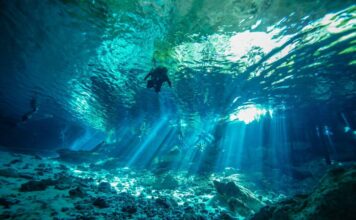 Los mejores destinos para buceo en México buceo México arrecifes