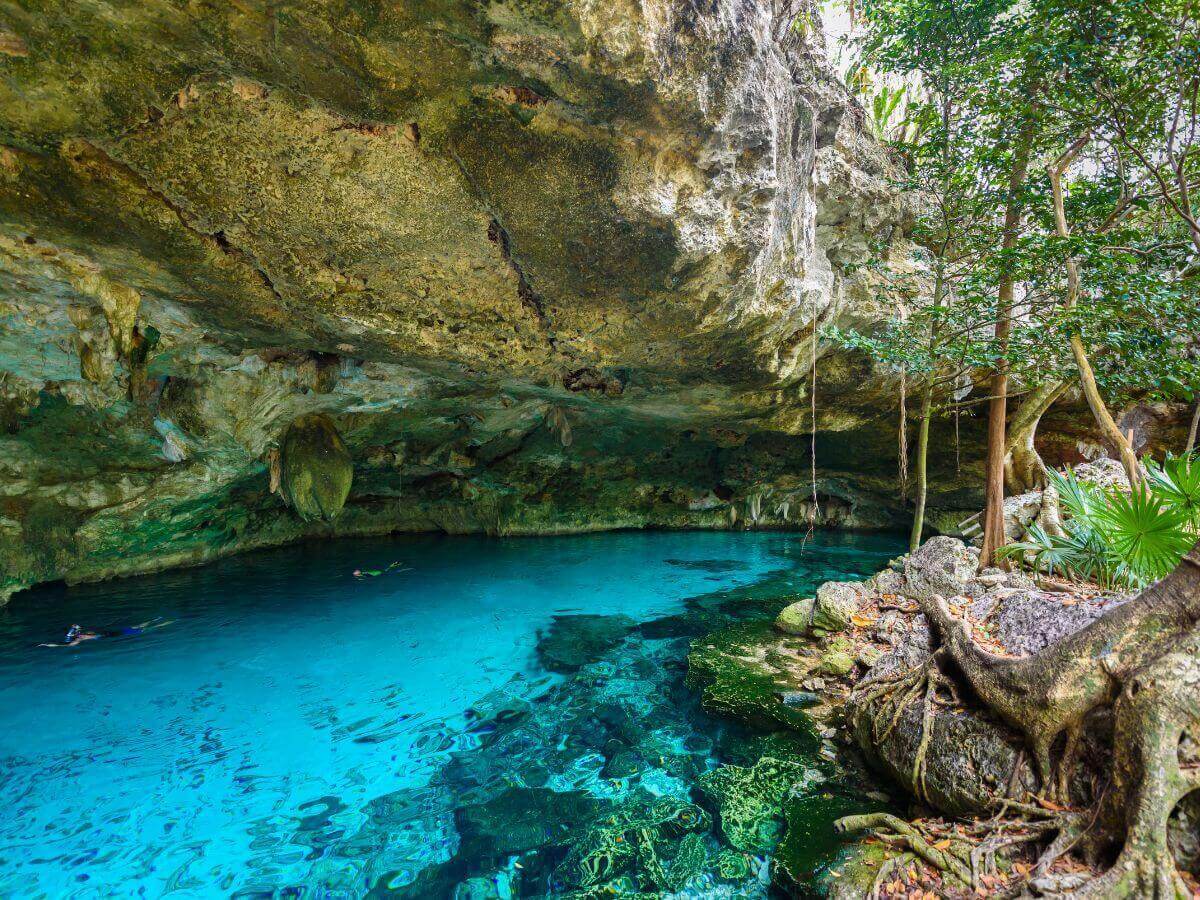 cenotes Yucatán agua cristalina