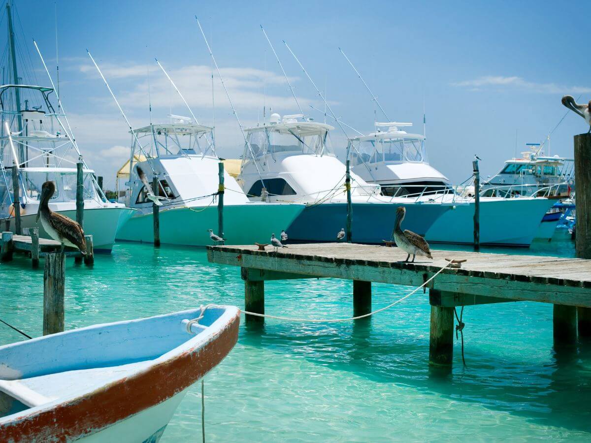 excursiones Cancún isla